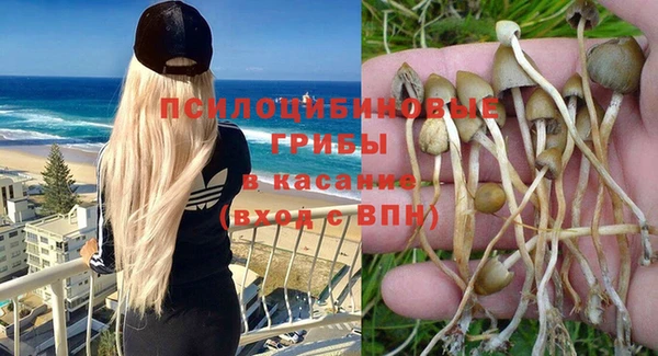 mix Арсеньев