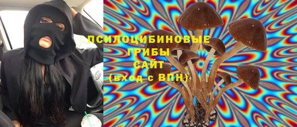 mix Арсеньев