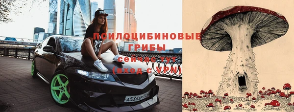 mix Арсеньев
